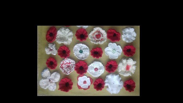 Photo of red and white knitted poppies