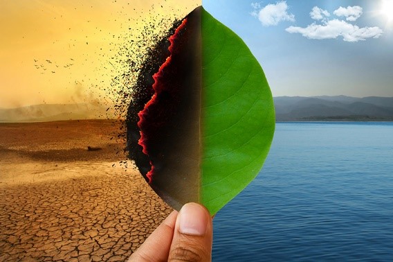 climate change image