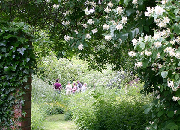 Henley Peaceful Garden